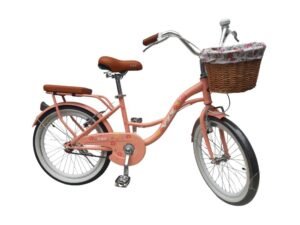 1000750 para paginas bicis (13)