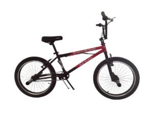 1000750 para paginas bicis (56)